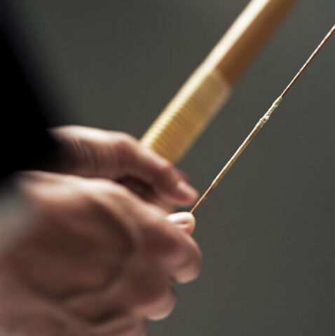 cropped-4-9.jpg